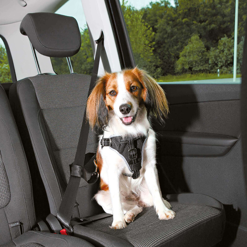 Trixie Auto-Hundegeschirr Dog Comfort S-M