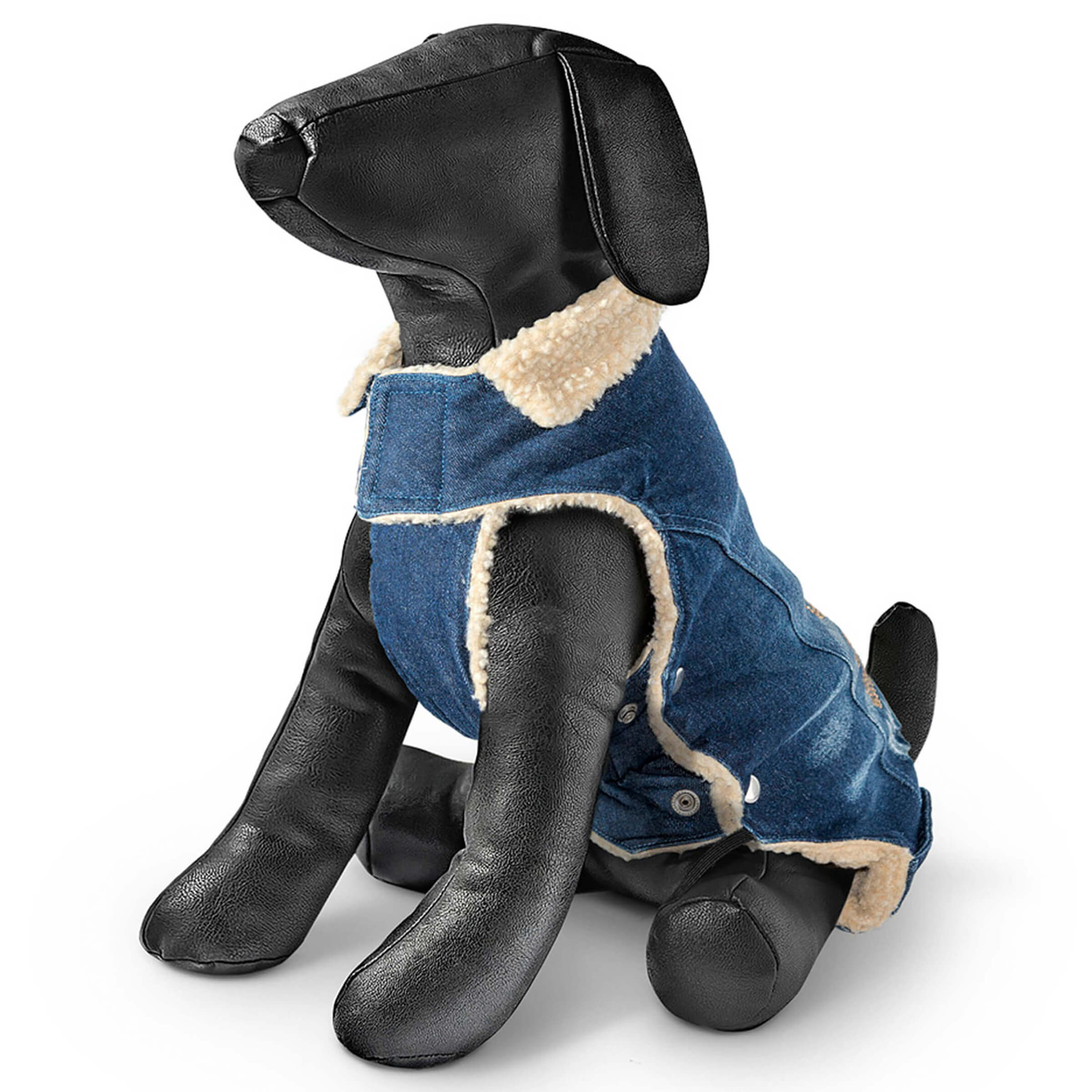 Freezack Mantel Skull 25cm