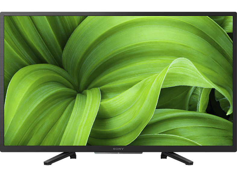 SONY KD-32W800 P1AEP - TV (32 , HD-ready, LCD)