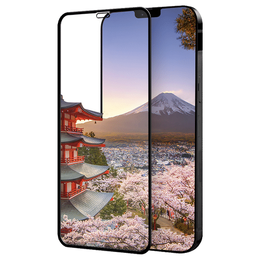 Eiger iPhone 12 Pro Max Display-Schutzfolie 3D Glas