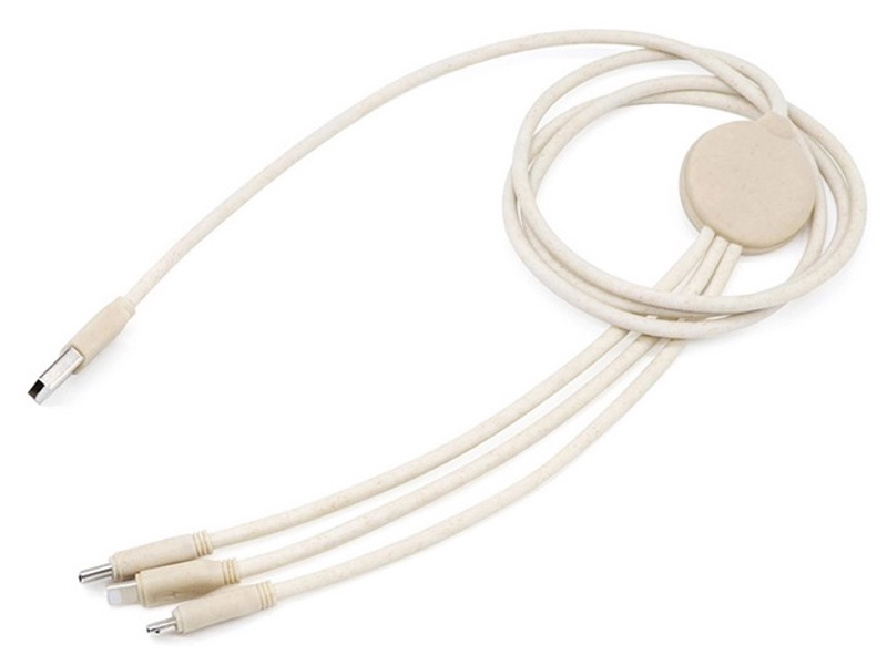 BLAUPUNKT Ladekabel 1M