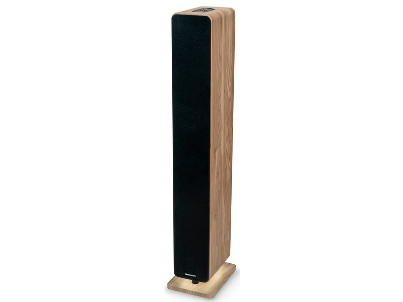 THOMSON Lautsprecher DS702 bluetooth
