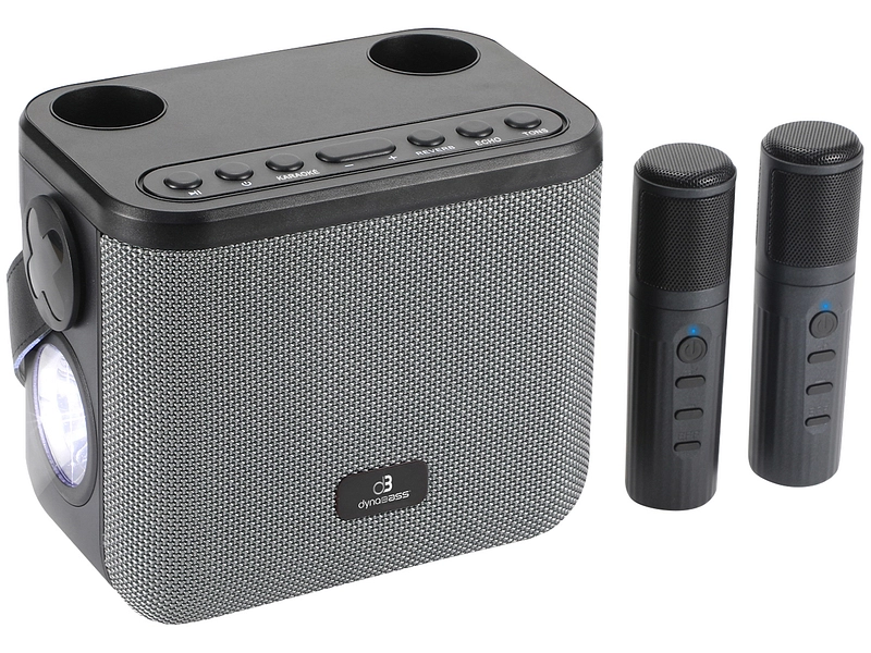 DYNABASS Haut-parleur karaoké DBE50 GREY bluetooth