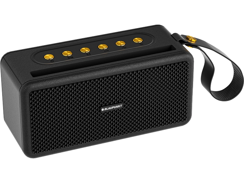BLAUPUNKT Lautsprecher BLP3886-133-C bluetooth