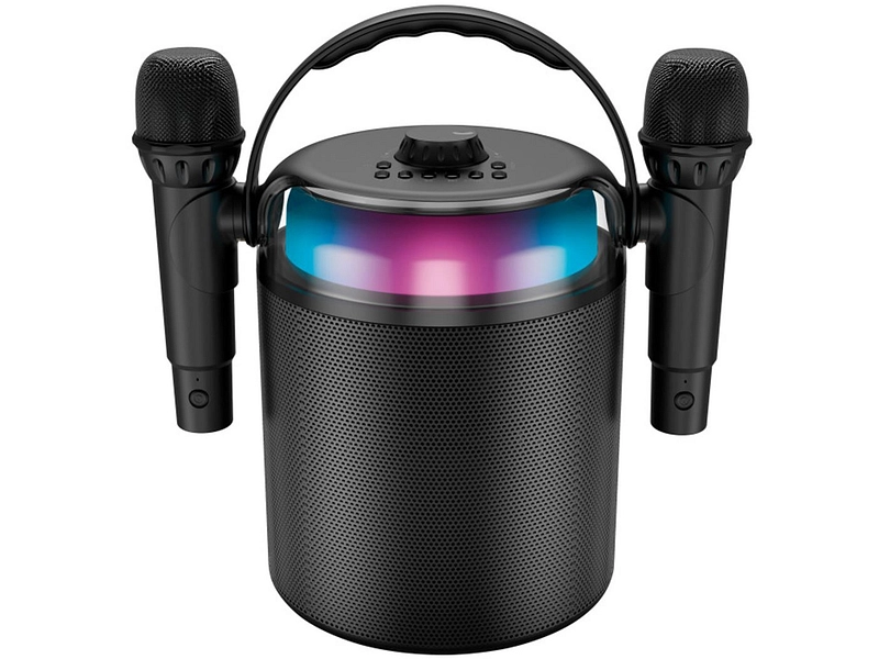 LEDWOOD Karaoke-Lautsprecher PLAYKARAOKE bluetooth