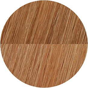 Showpony - 20' 7 PIECE CLIP IN BOXSET 9B-11B COOL SOFT BLONDE OMBRE