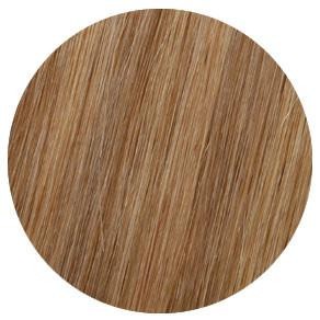 Showpony - 20' 3 IN 1 HALO BOXSET 7GV-9N HONEY GINGER H/LIGHT