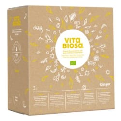 Vita Biosa Ingwer bio (3000ml)