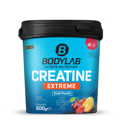Creatine Extreme - 500g - Fruit Punch