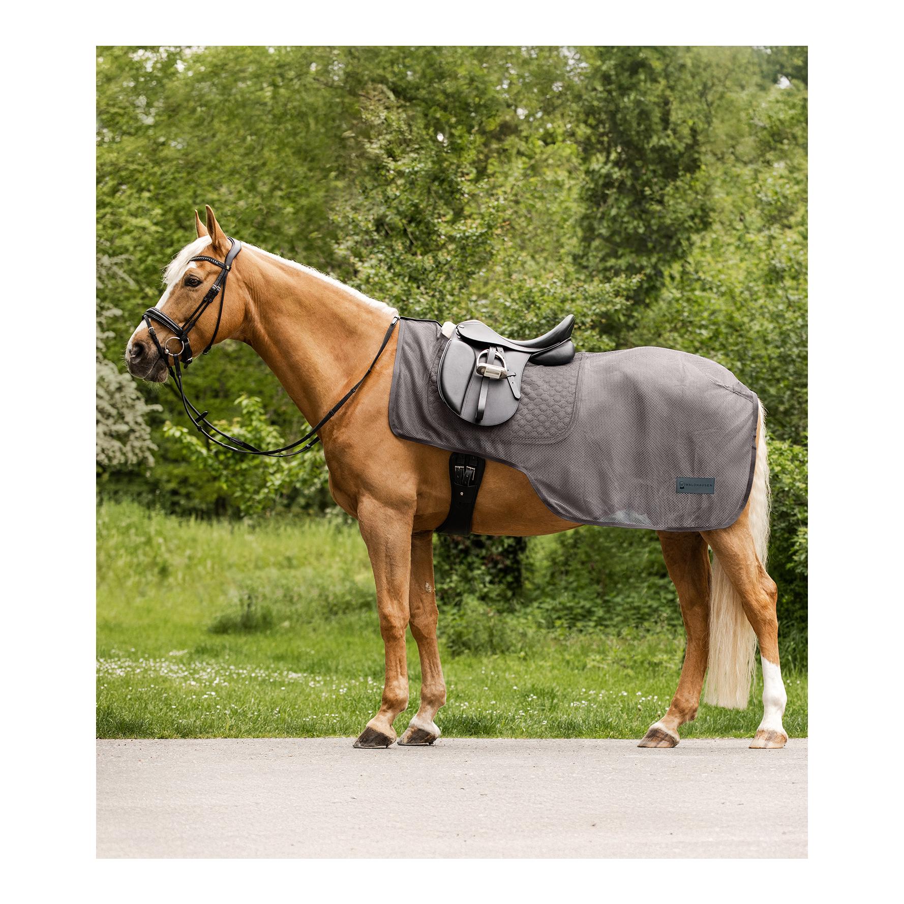 Waldhausen Fliegenausreitdecke Comfort - grau