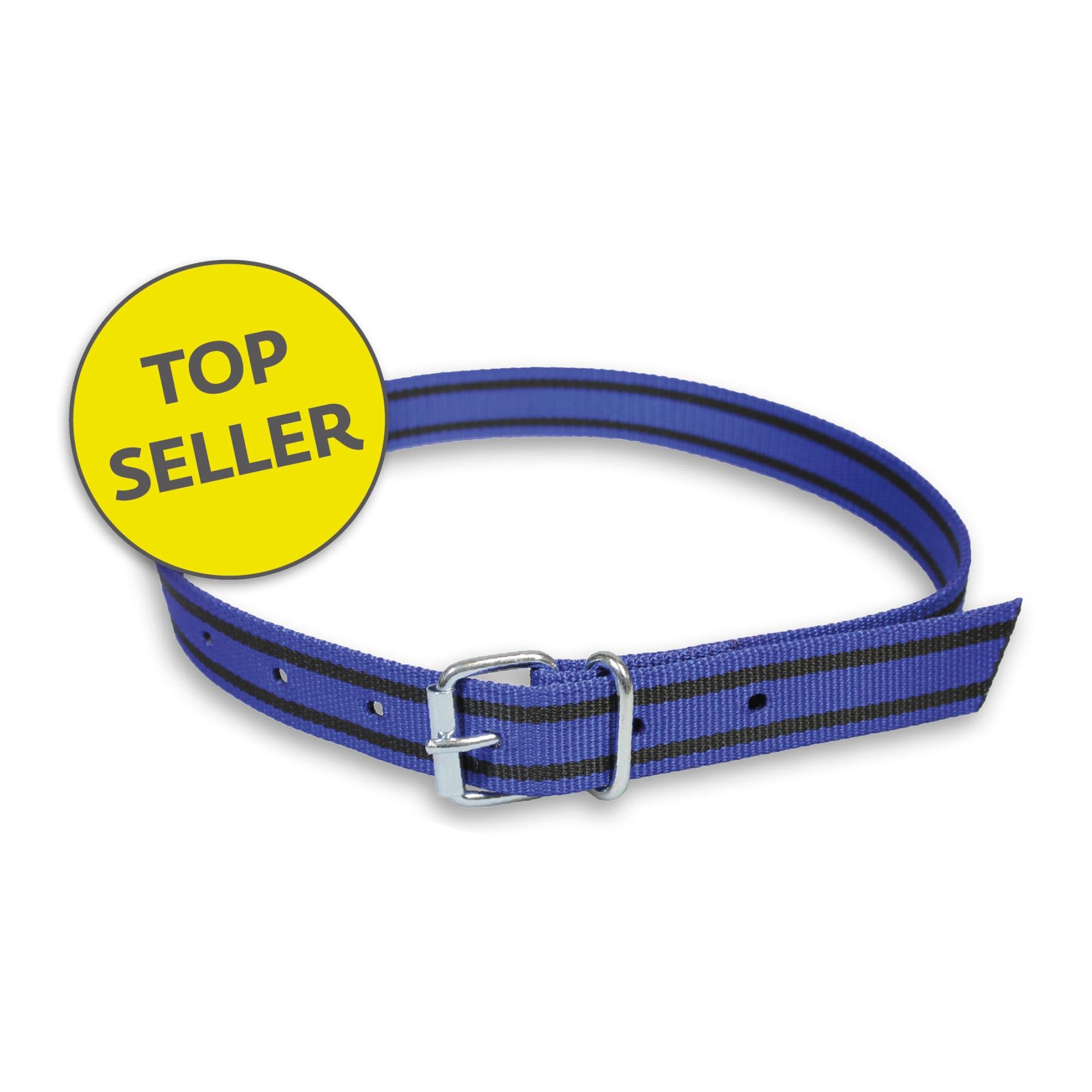 Mainer Halsband mit Rollschnalle 40 mm - Blau/Schwarz -