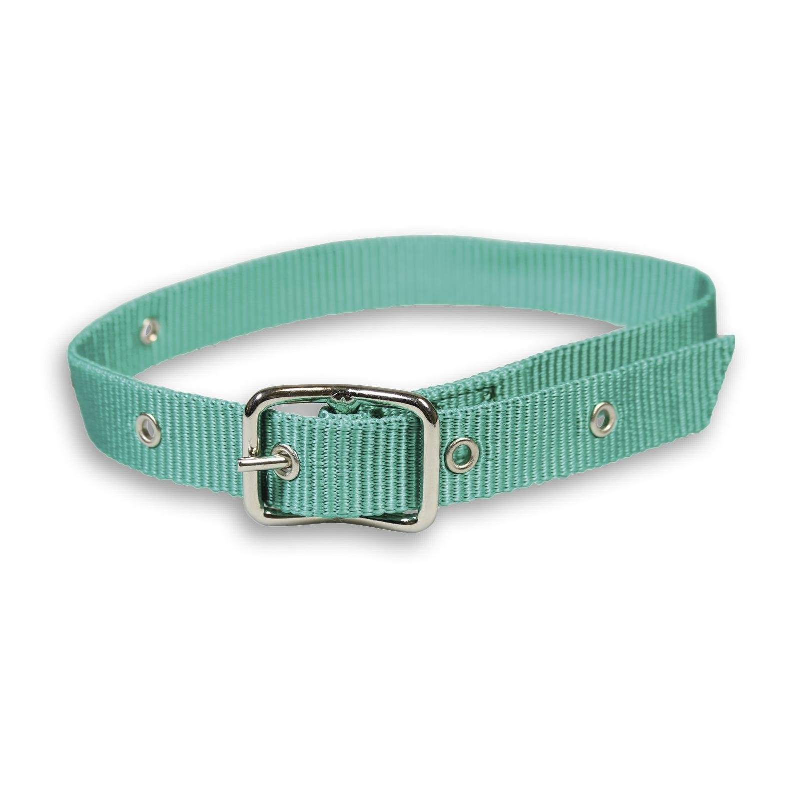 Mainer Halsband für kleine Tiere mit Dornschnalle 25 mm - Grün -