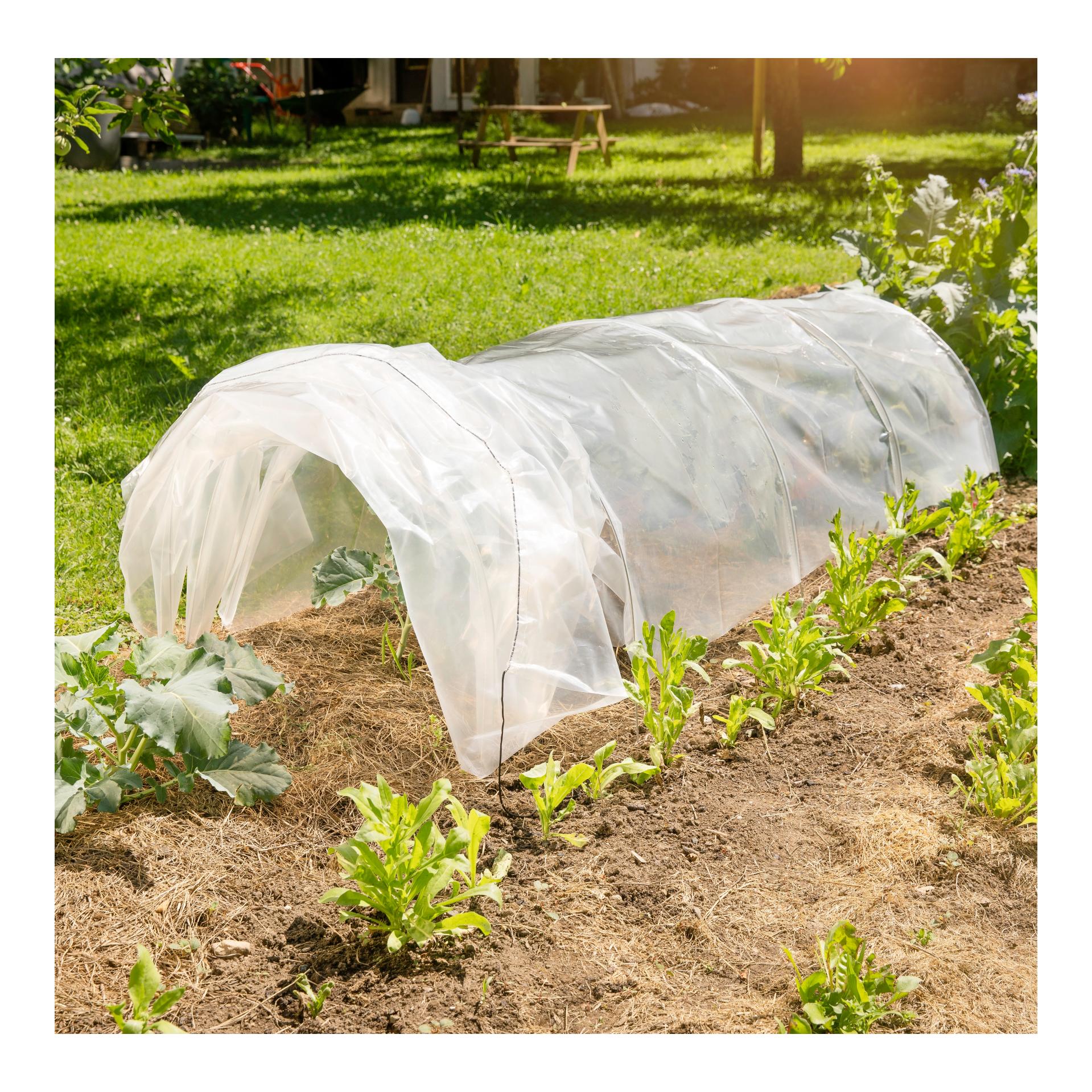 Windhager Folien-Tunnel Akkordeon - Transparent -