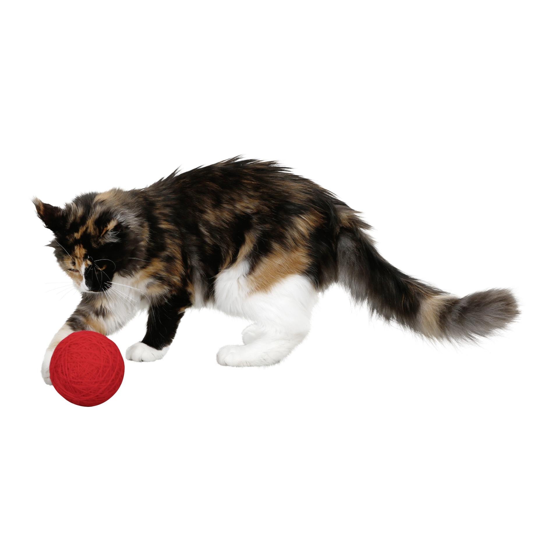 Kerbl Wollspielball für Katzen - Rot -