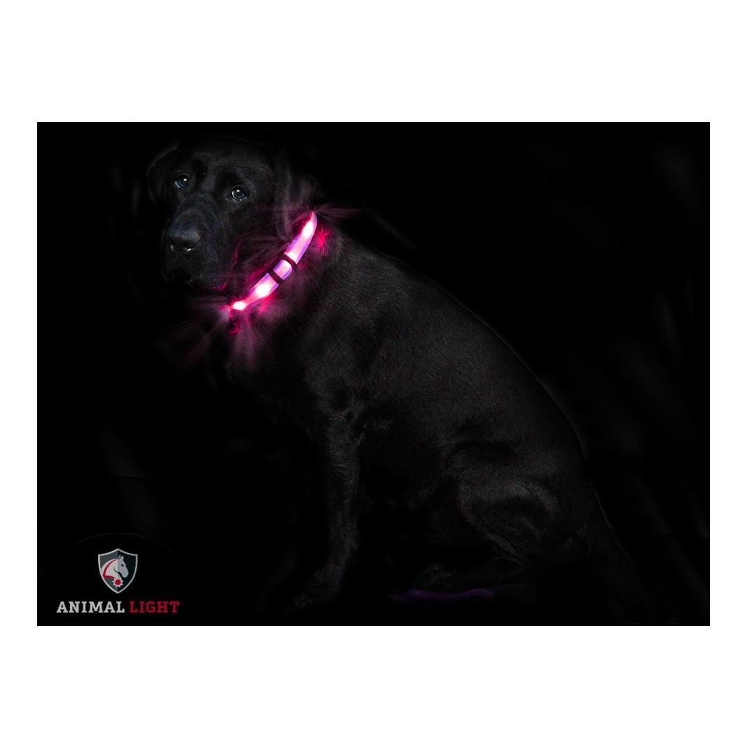 Animal Light Leucht - Hundehalsband 'Cash' - Rosa/Pink -