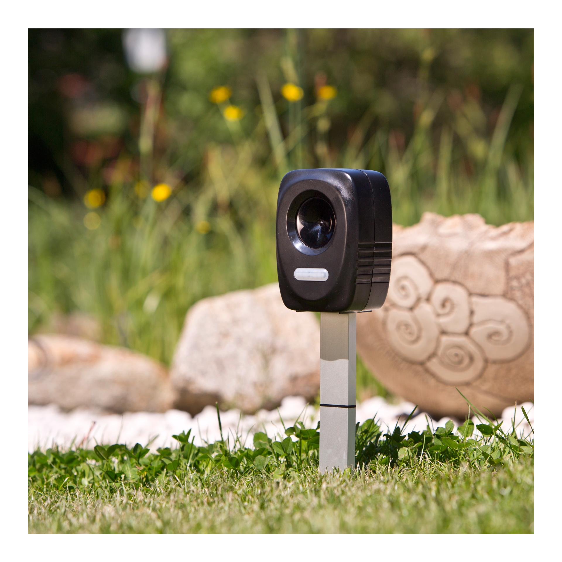 Windhager Hunde-/Katzen-/Marder-Schreck «Ultrasonic» - Schwarz -