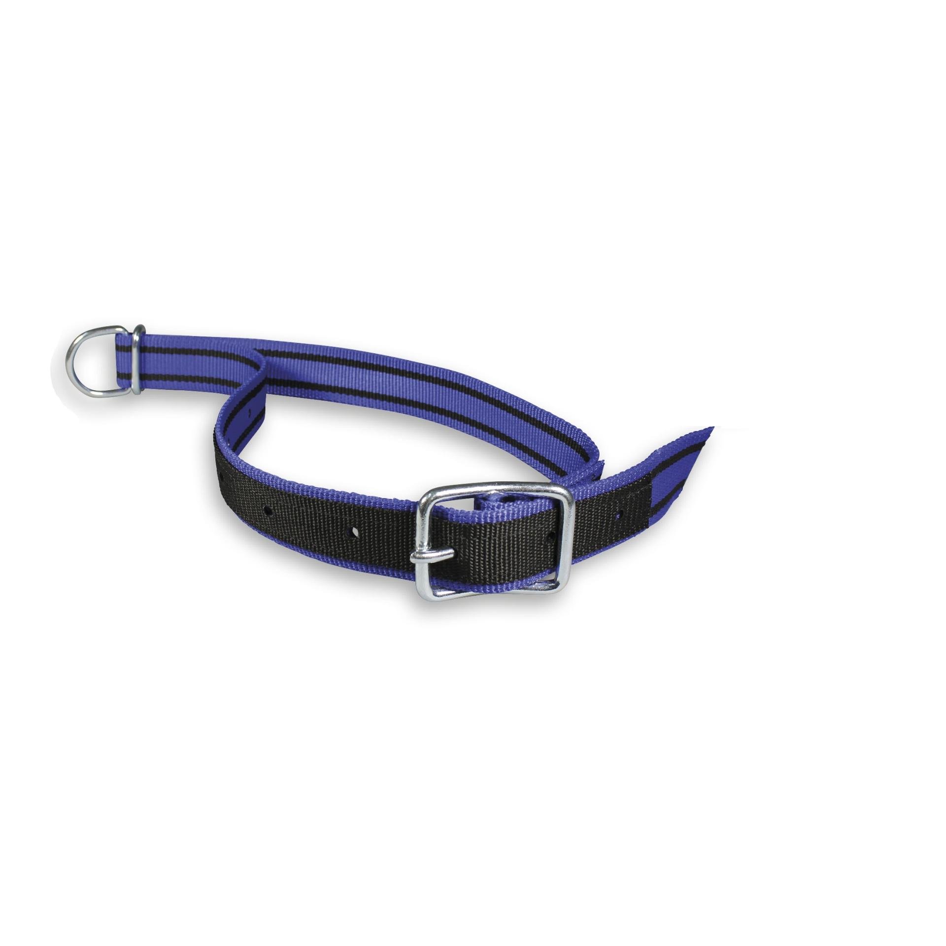 Mainer Halsband mit Dornschnalle 40 mm - Blau/Schwarz -