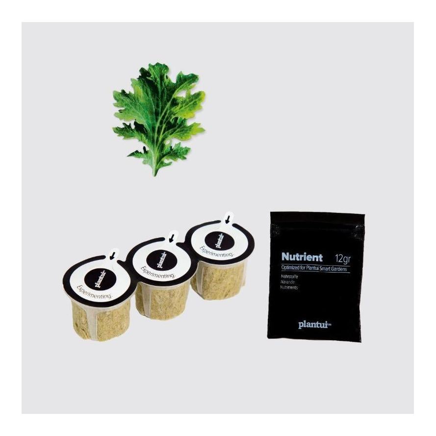 Plantui Senf Wasabina Kapsel Smart Garden