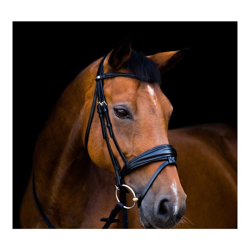 Stübben Zaum Switch mit kombiniertem Reithalfter geschweift - schwarz Grösse Zaum: WB