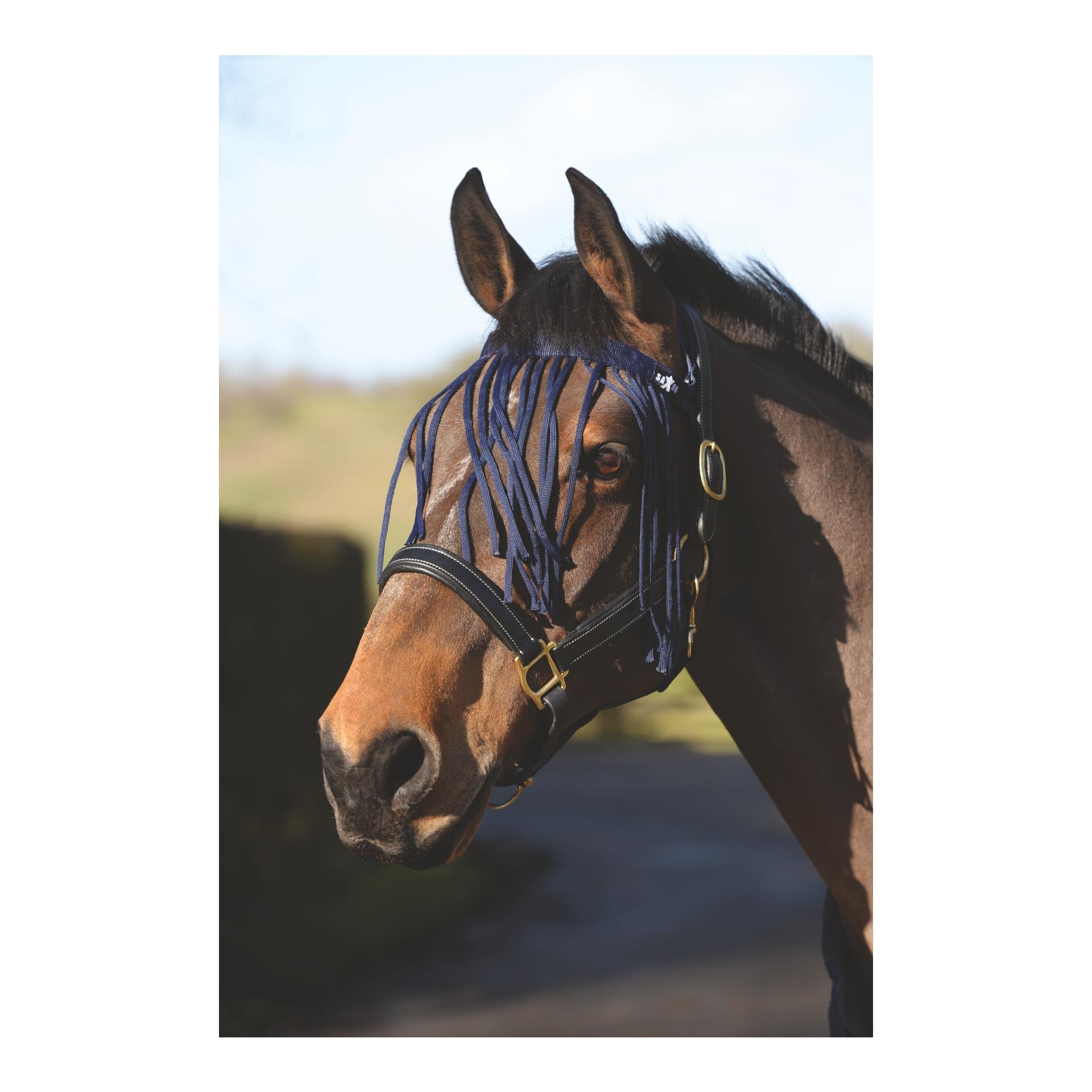 Weatherbeeta Fliegenfransen Saxon - Navy - Farbe: Navy, Grösse Pferd: Pony