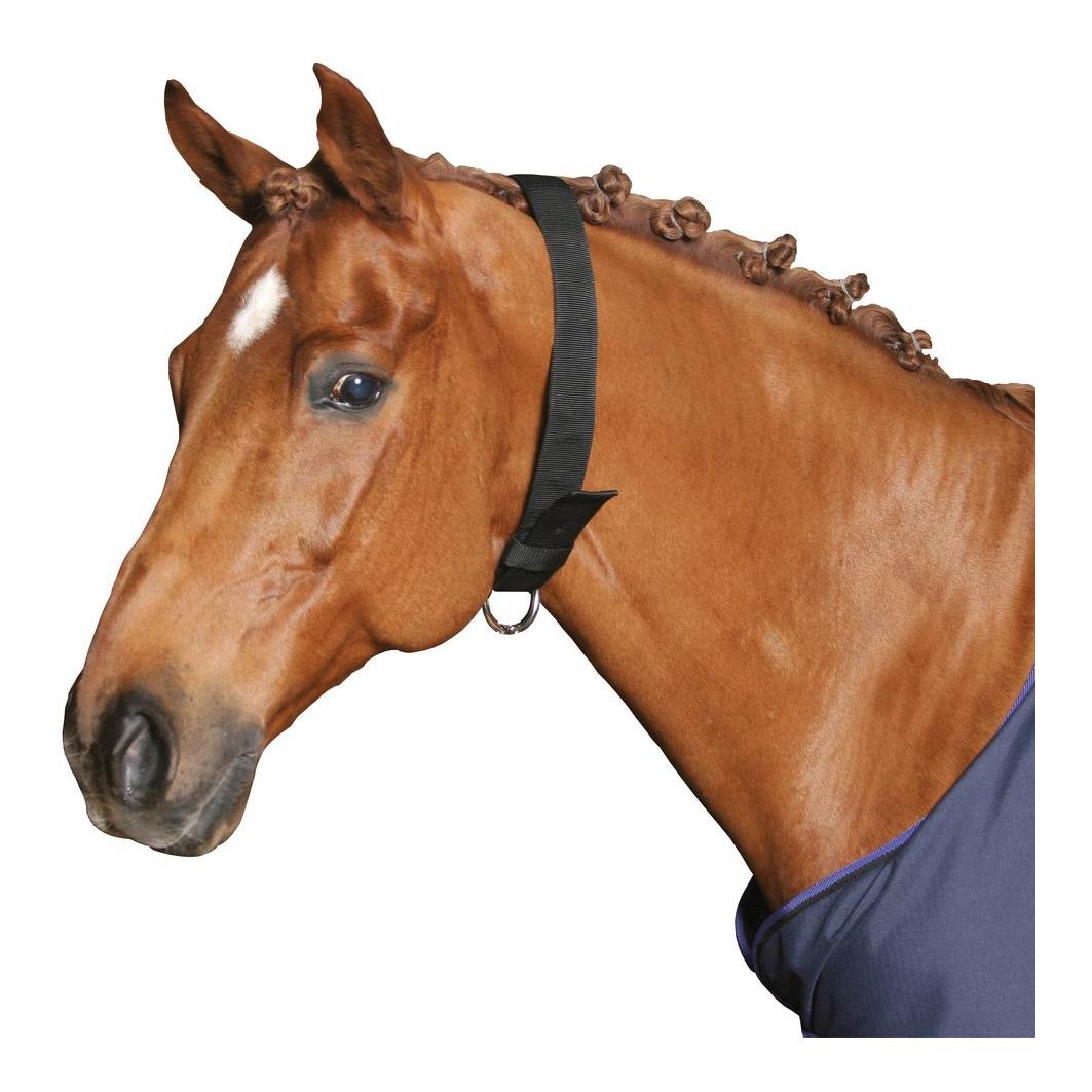 Kerbl Halsriemen für Pferde - Schwarz -