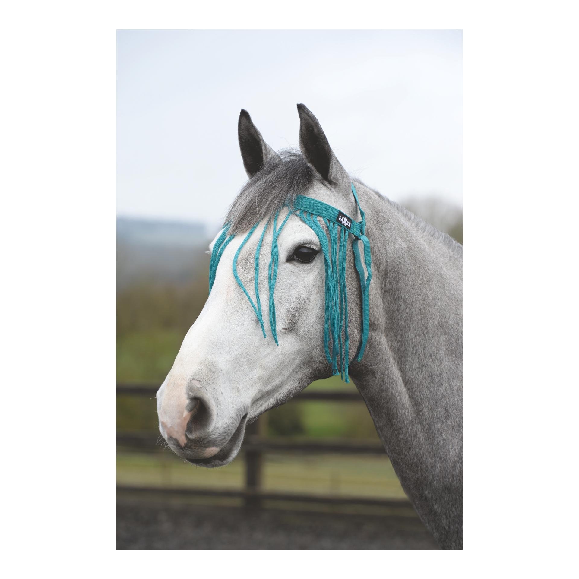 Weatherbeeta Fliegenfransen Saxon - Grün - Grösse Pferd: Full, Farbe: Grün