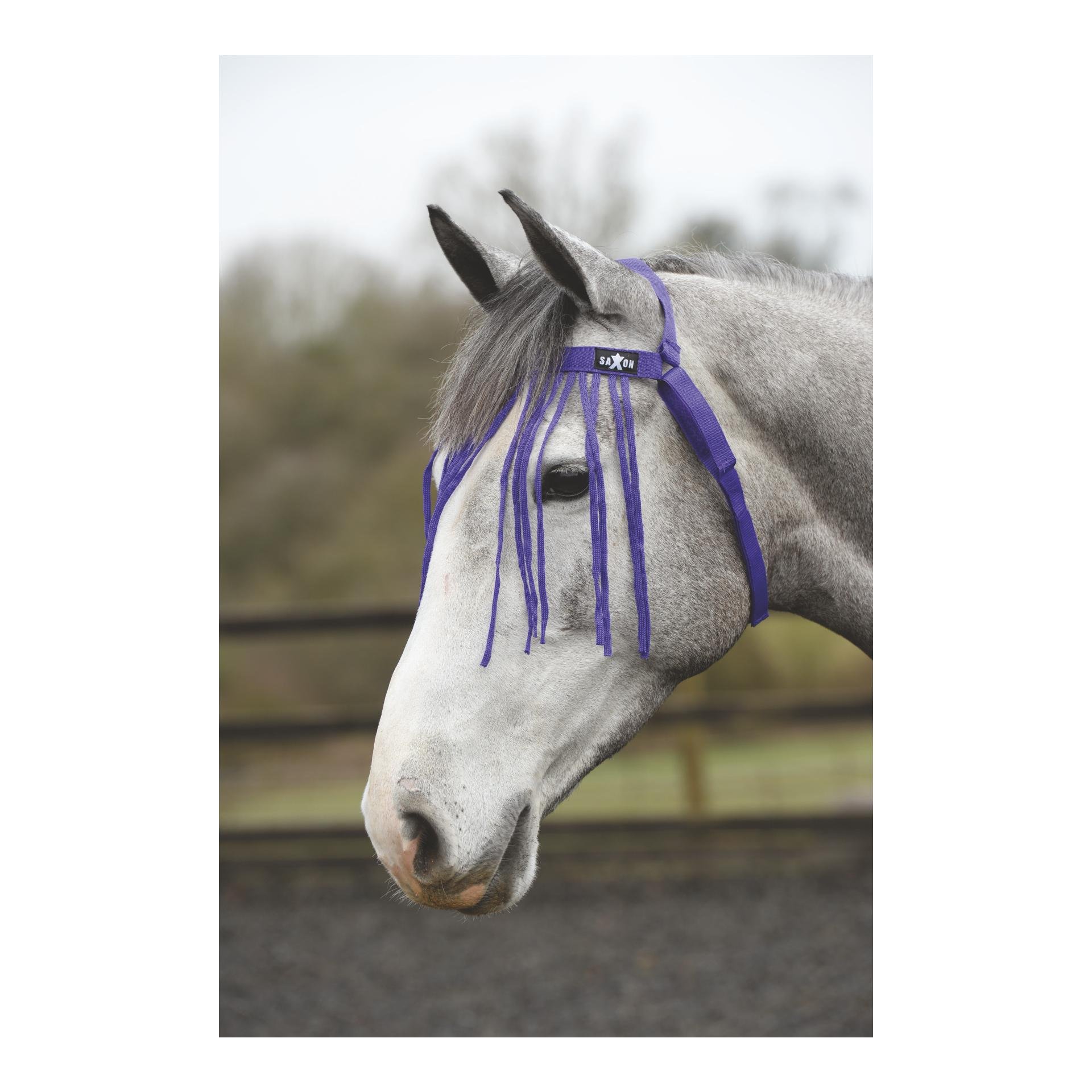 Weatherbeeta Fliegenfransen Saxon - Purple - Grösse Pferd: Full, Farbe: Purple