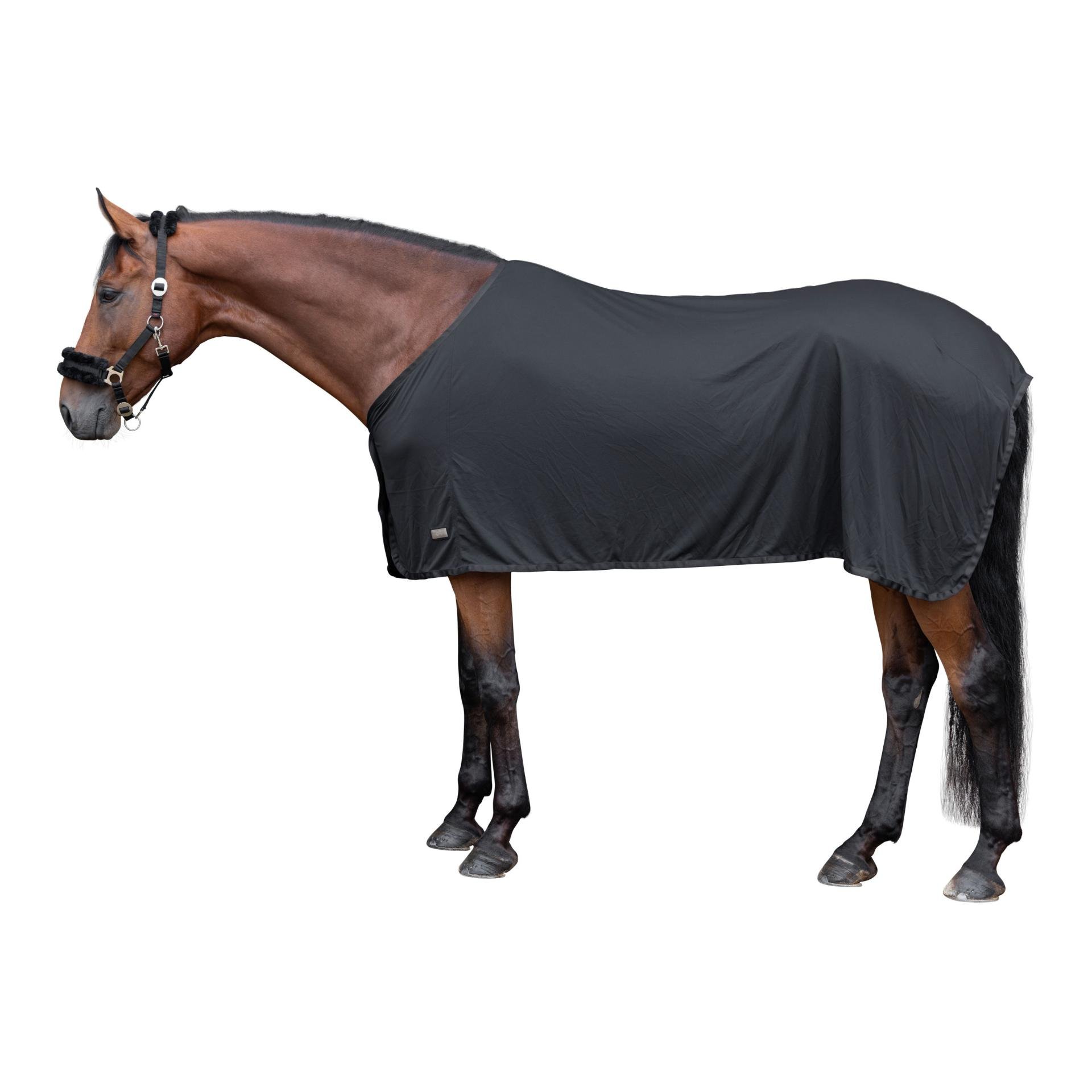 Kühldecke CovallieroCool - Schwarz - Grösse Pferdedecken: 125 cm
