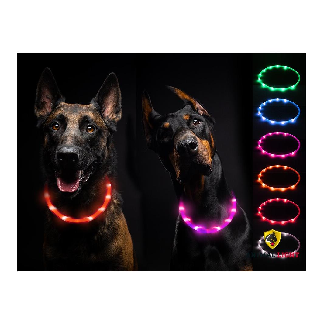 Animal Light Leucht-Hundehalsband Flex - Orange - Grösse: 70 cm, Farbe: Orange