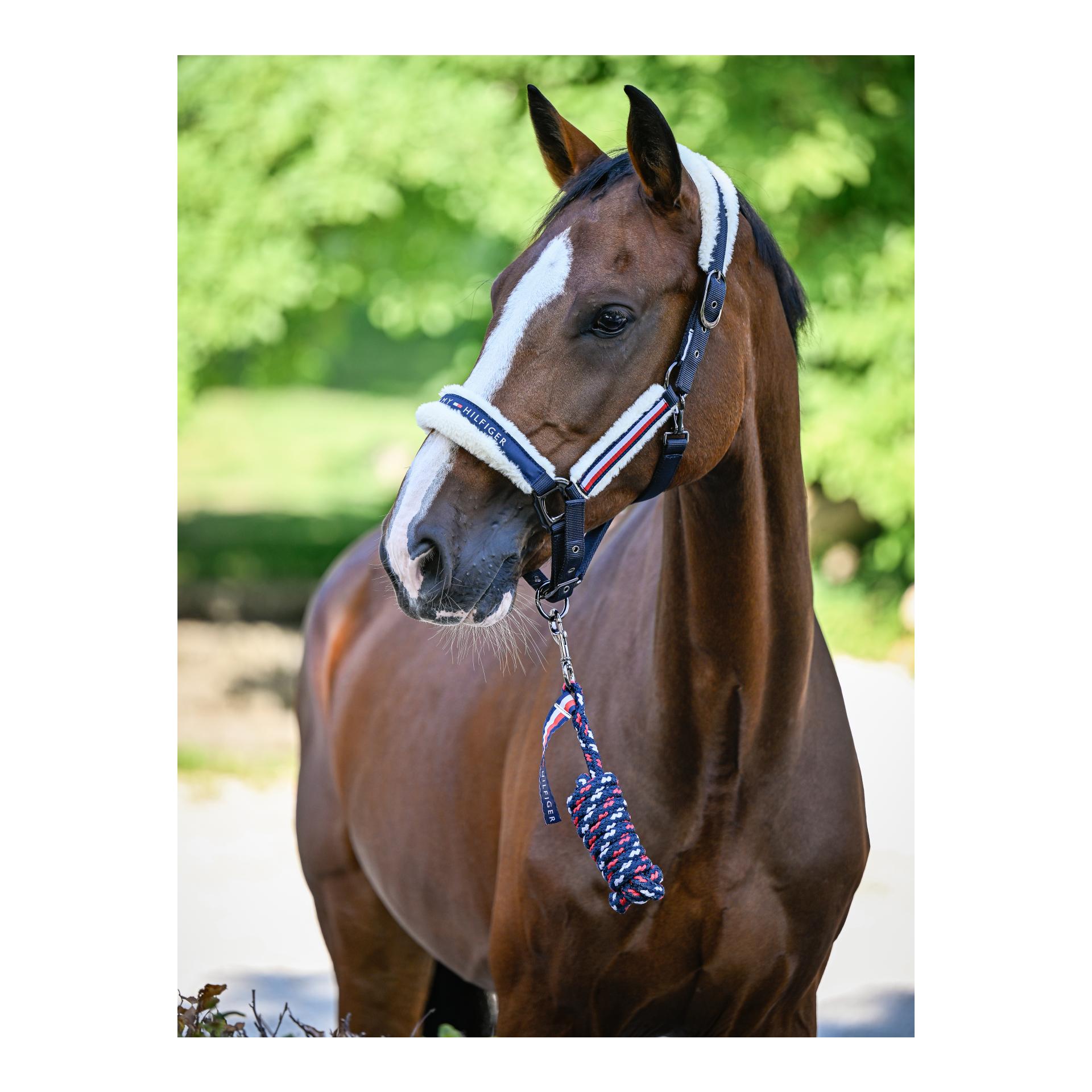 Tommy Hilfiger Equestrian Halfter Set Yale mit Strick Grösse: Cob