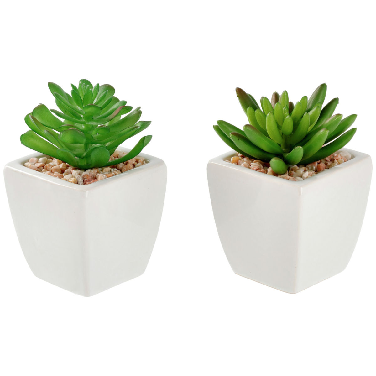 Kunstpflanzen-Set Afra; 5.5x11.5 cm (ØxH); weiss/grün