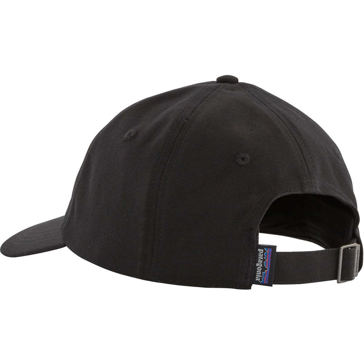 Patagonia P-6 Label Trad Cap