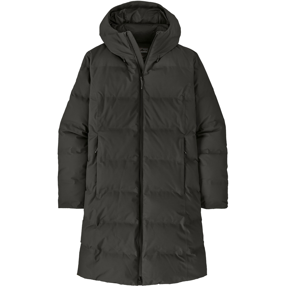 Patagonia Damen Jackson Glacier Parka