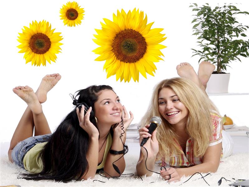 Wandtattoo 'Sonnenblumen'