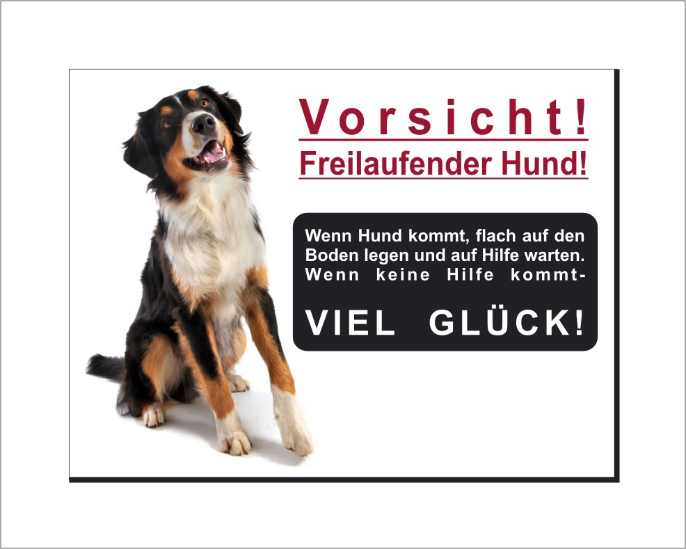Bernersennen Hunde Schild - Vorsicht! Freilaufender Hund