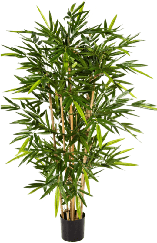 Lebensechte Xl Kunstpflanze „Bamboo Säule“, ø 65/ Höhe 150 cm