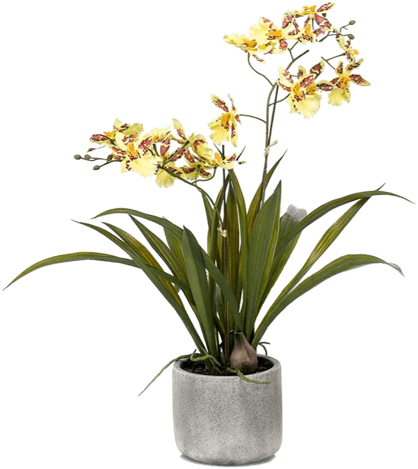 Lebensechte Kunstpflanze „Oncidium Orchidee“, Gelb/Braun, ø 50/ Höhe 45 cm