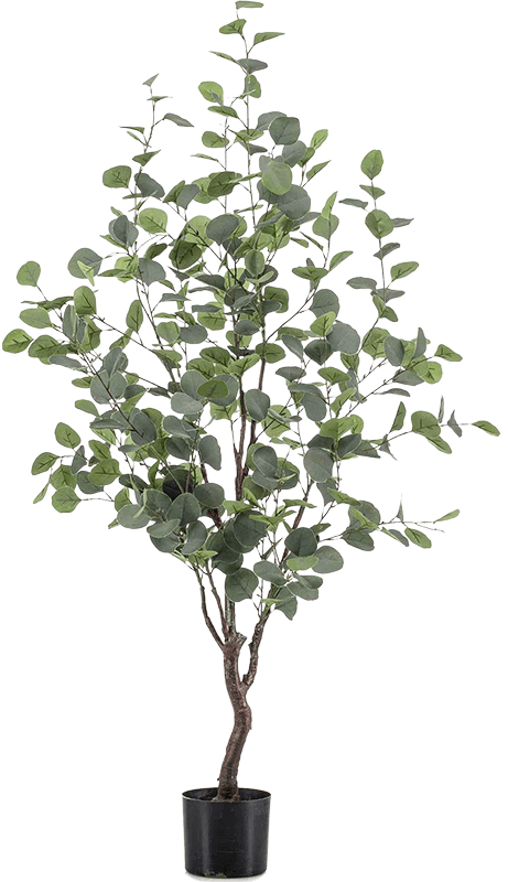 Lebensechte Kunstpflanze „Eucalypthus“, ø 50/ Höhe 120 cm