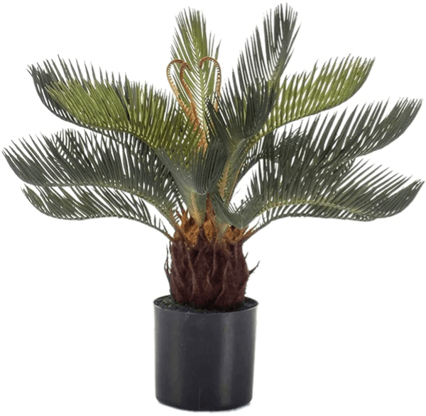 Lebensechte Kunstpflanze „Cycas Tuff“, ø 40/ Höhe 45 cm