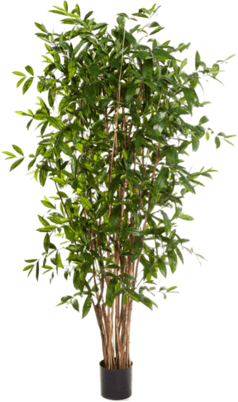 Lebensechte Kunstpflanze „Dracaena Surculosa“, ø 60/ Höhe 150 cm