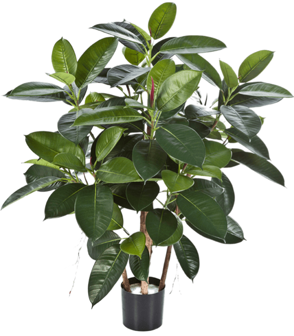 Lebensechte Kunstpflanze „Ficus Elastica“, ø 70/ Höhe 90 cm