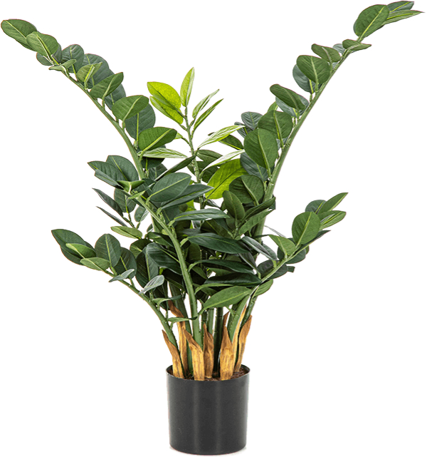Lebensechte Kunstpflanze „Zamioculcas Zamiifolia“ ø 50/ Höhe 66 cm