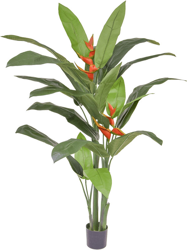 Lebensechte Kunstpflanze „Heliconia Tuft“, ø 100/ Höhe 170 cm