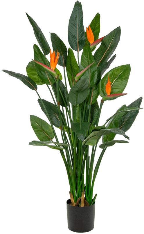 Lebensechte Kunstpflanze „Strelitzia Tuft“ ø 75/ Höhe 150 cm