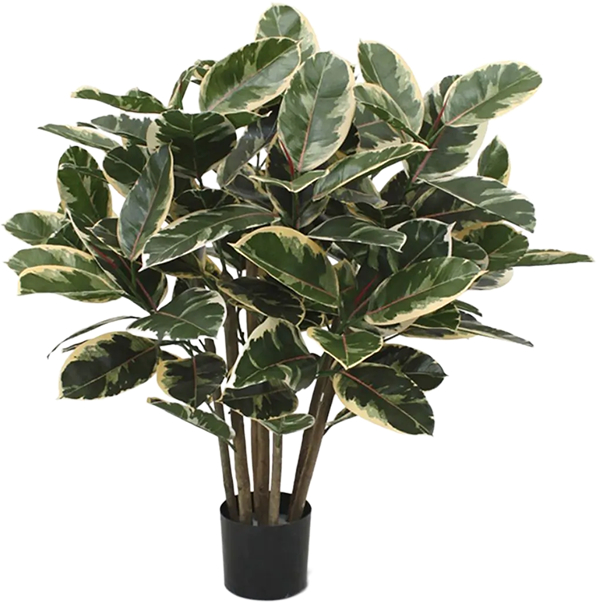 Lebensechte Kunstpflanze „Ficus Elastica“, ø 90/ Höhe 95 cm