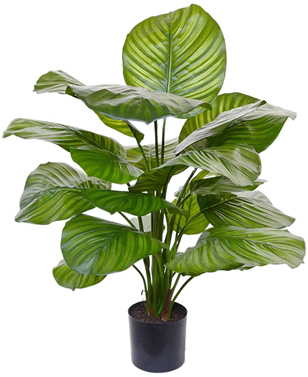 Lebensechte Kunstpflanze „Calathea Fasciata“ ø 60/ Höhe 70 cm