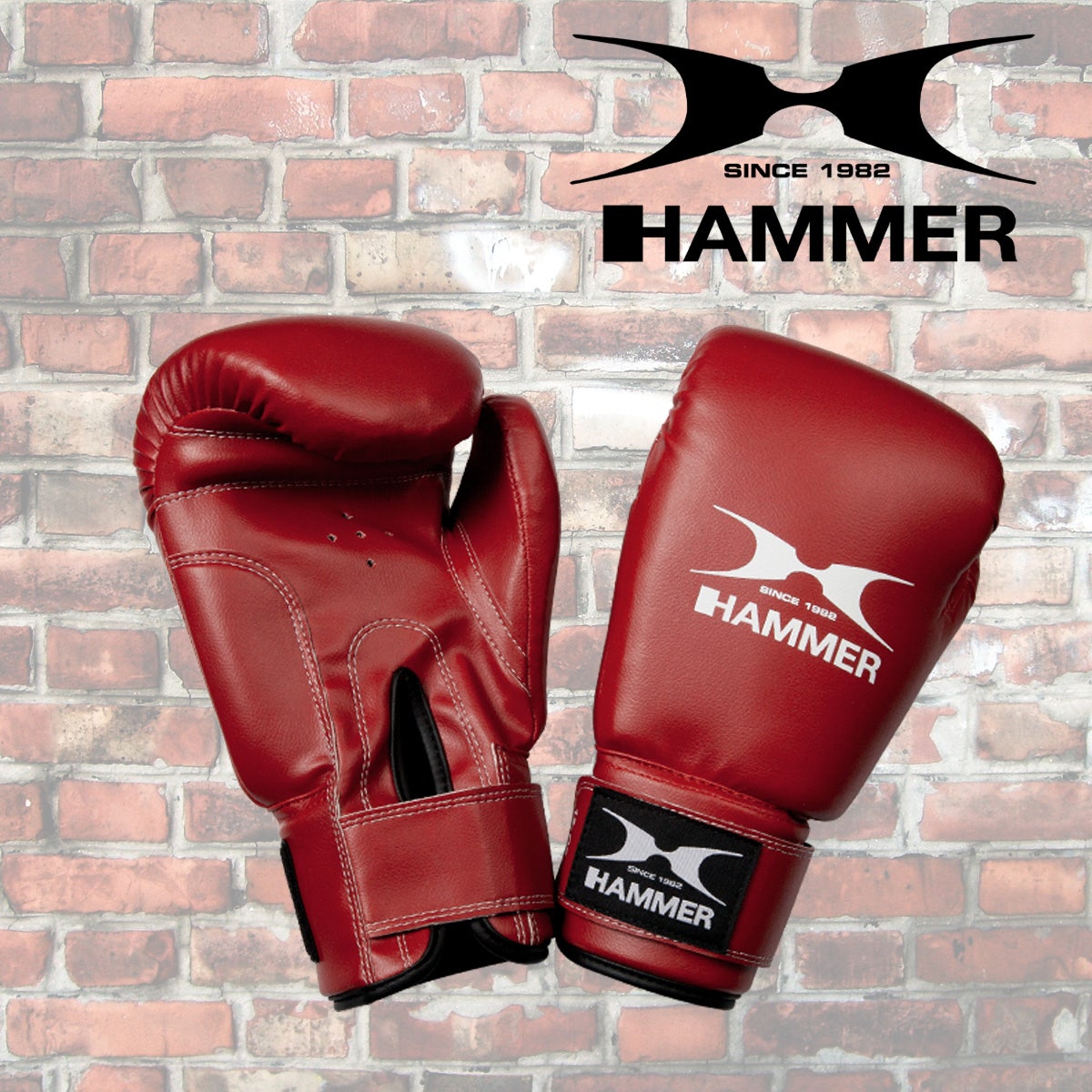 HAMMER BOXING Box-Set Pro