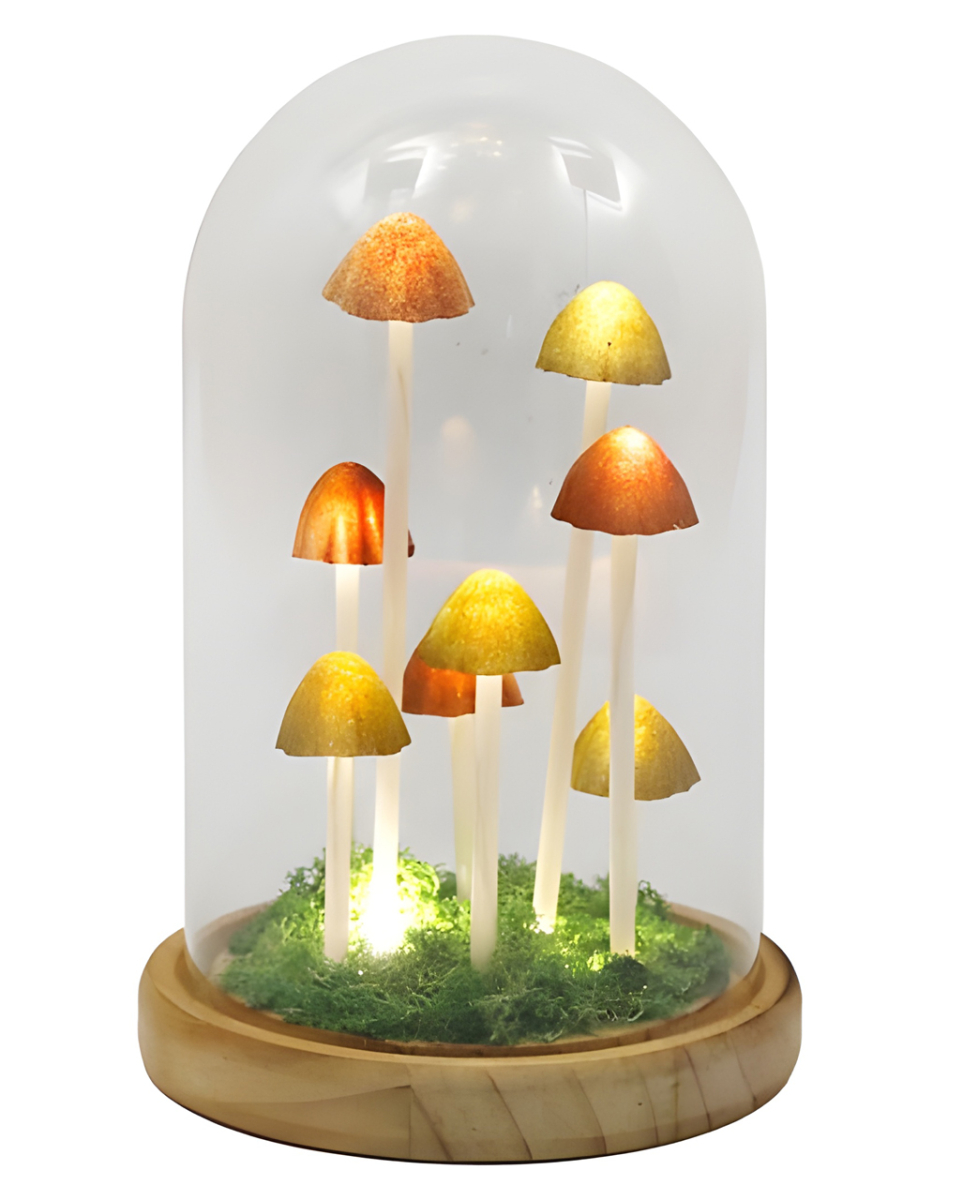 Magic Mushrooms unter Glaskuppel Licht 22cm