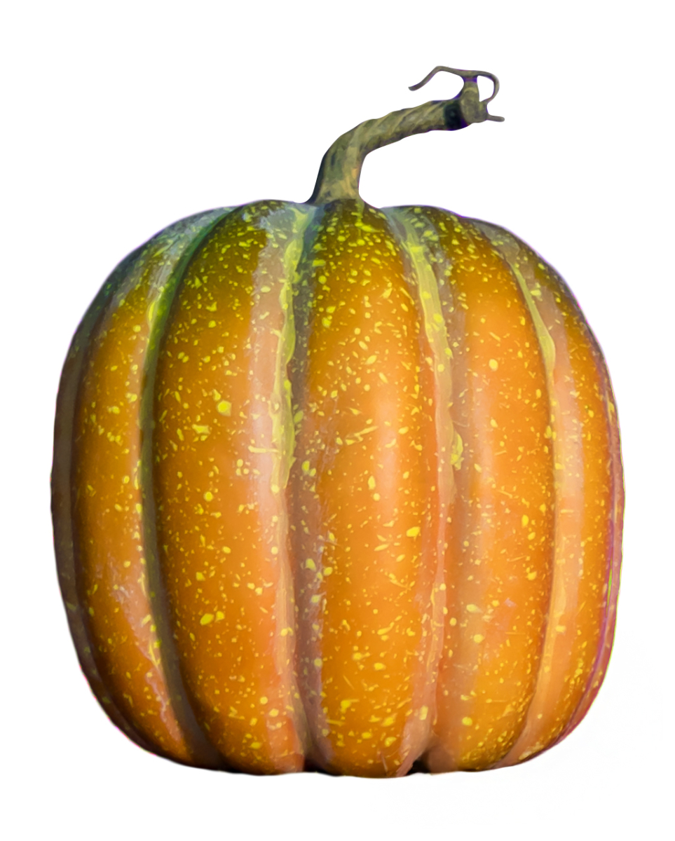 Realistischer Herbstkürbis 23x18cm