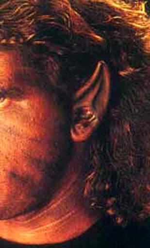 Werwolf Latex Ohren Wolfsohren Latexohren